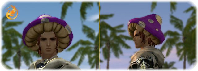 16c5347435504ac4d4785f65ab28.png
